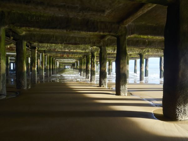 Cost of Pier And Beam Leveling in Land O Lakes