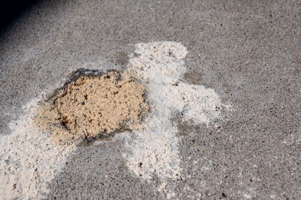Cost of Foundation Leveling Service in Land O Lakes