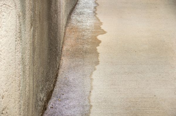 Cost of Leaking Foundation Repair in Land O Lakes